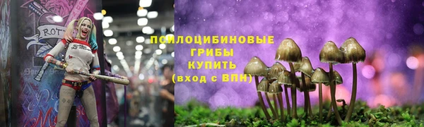 ALPHA PVP Алзамай