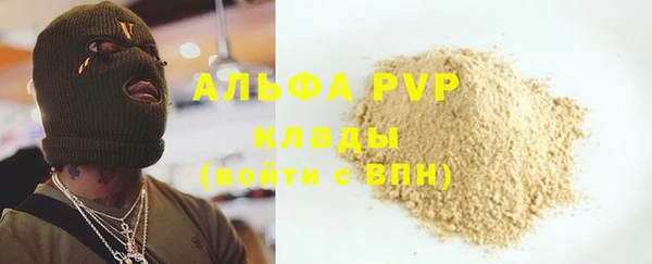 ешки Алексин