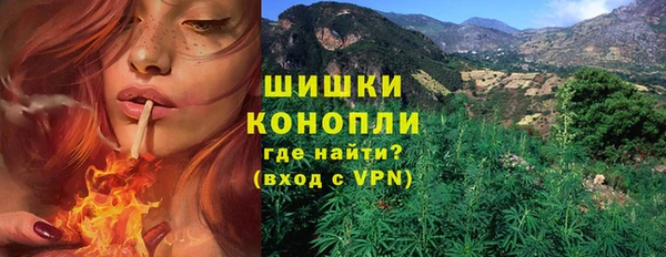PSILOCYBIN Приозерск